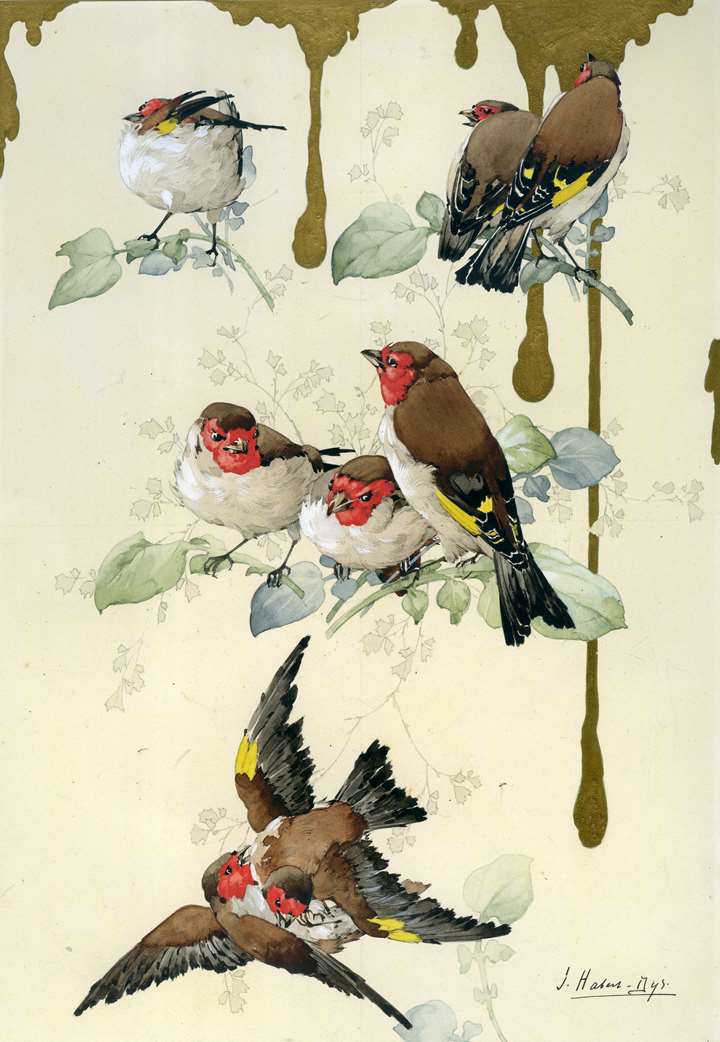 Illustration for Caprices Décoratifs: Oiseaux d’Europe (Chardonnerets) [Birds of Europe: Goldfinches]